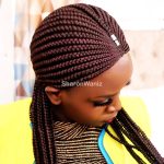 Long Back cornrows Braided Wig BNJ005