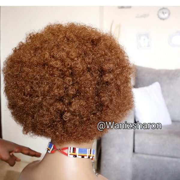 Back Afro Front Braided Wig CGN0Cl30 - Image 4