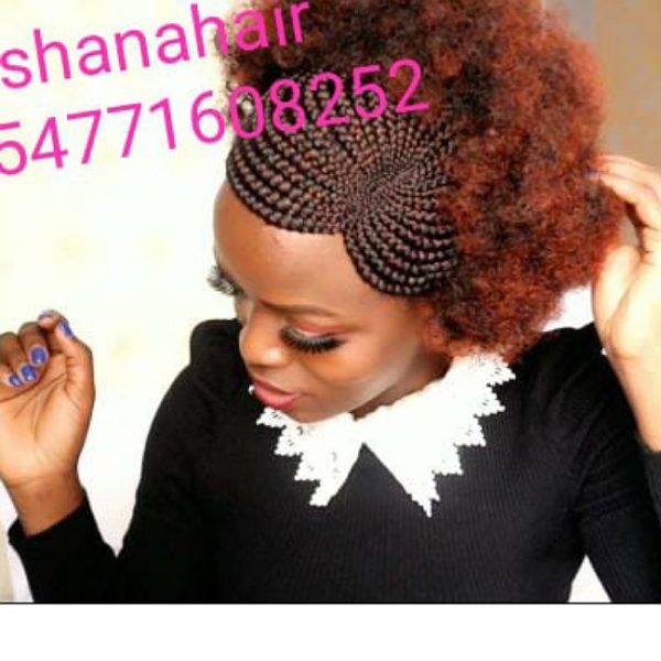 Back Afro Front Braided W-Wig CCA028 - Image 3